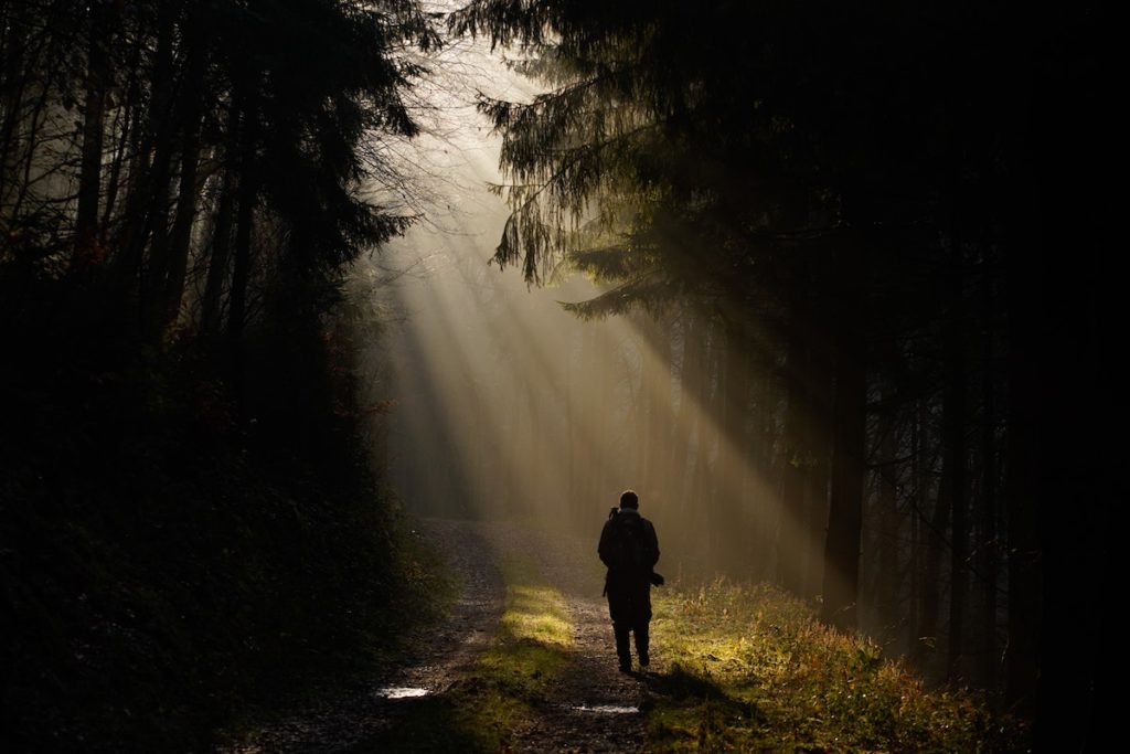 person walking in nature with the sunlight streaming. 6 tips to keep your mood boyant