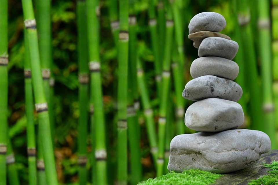 meditation-wisdom-wellbeing-health-mentalwellbeing-regainingcontrol-calm-bodyshotperformance