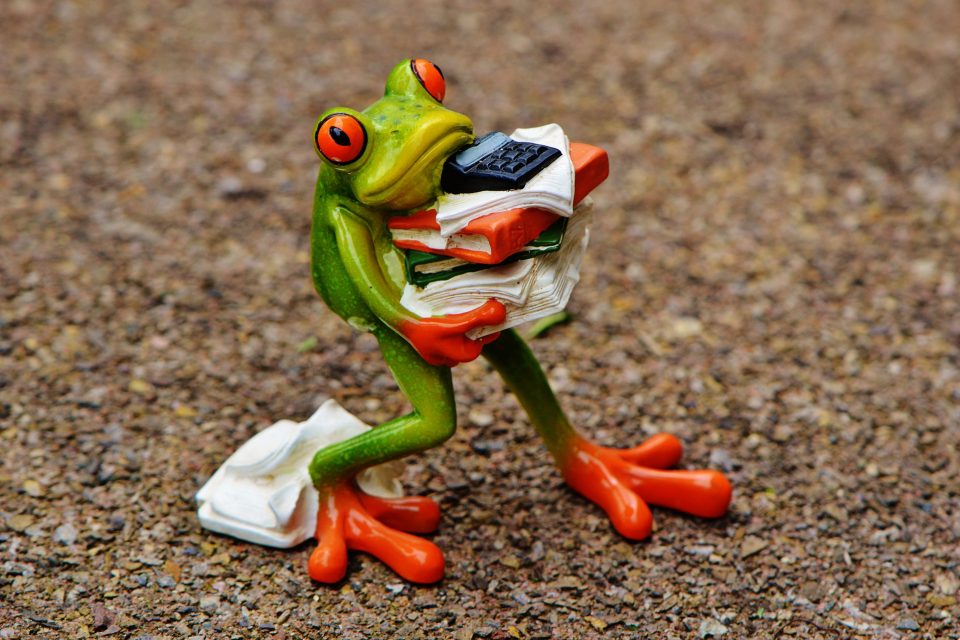 A china frog carrying books, paper and a calculator