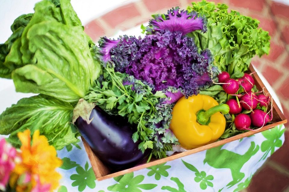 vegetables-Nutrients-Inflammation-GlycaemicVariability-guthealth-dna-bodyshotperformance